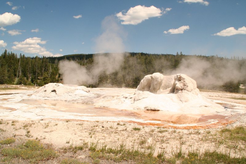Trip (87).JPG - Grotto Geyser at Yellowstone National Park geyser basin